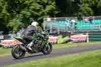 Lower Group Green Bikes